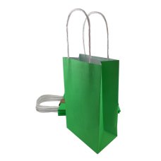 [465824] PARTYBAG PAPER LIME PK5